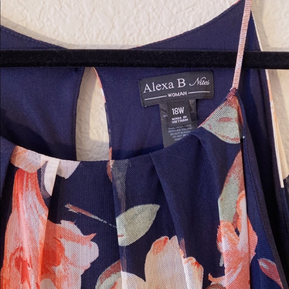 Maxi Dress, brand Alexa B Nites